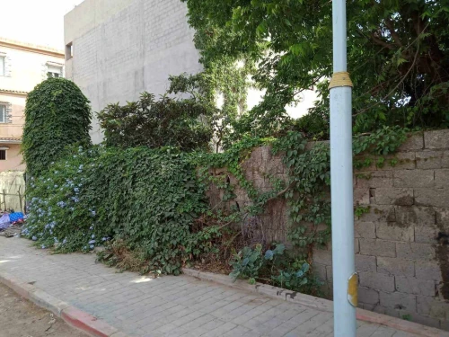 Vente Terrain Blida Boufarik