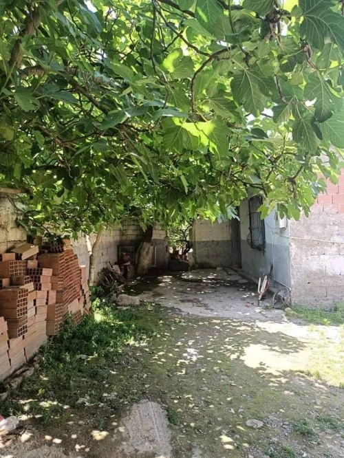 Vente Terrain Blida Beni tamou