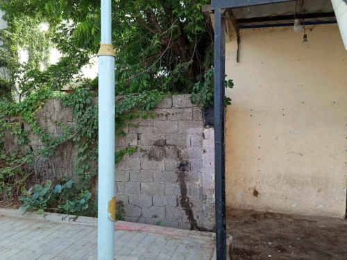 Vente Terrain Blida Boufarik