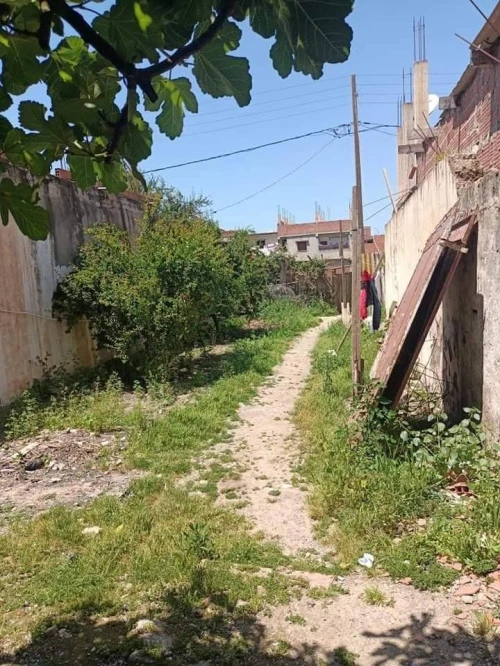 Vente Terrain Blida Beni tamou