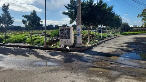Vente Terrain Alger Dar el beida
