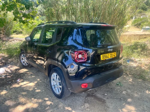Jeep Renegade 2020 Limited