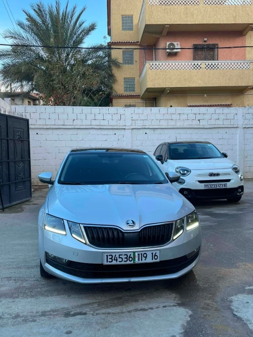 Skoda Octavia 2019 Clever