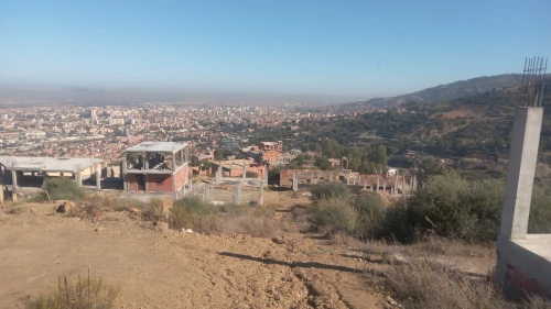 Vente Terrain Agricole Blida Bouarfa