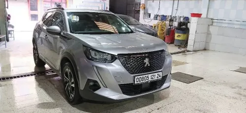 Peugeot 2008 2021 Erg