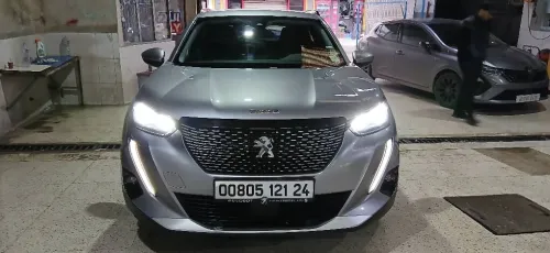 Peugeot 2008 2021 Erg