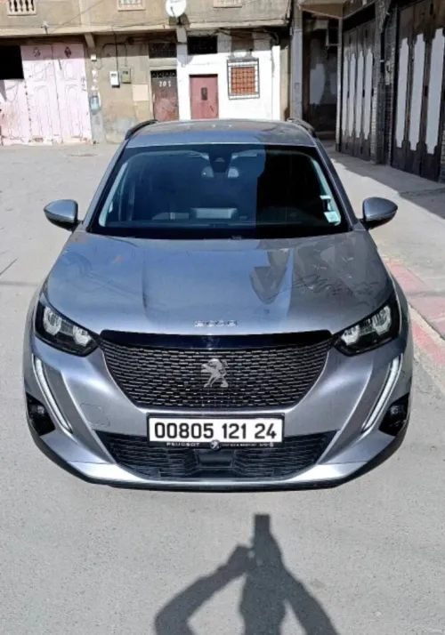Peugeot 2008 2021 Erg