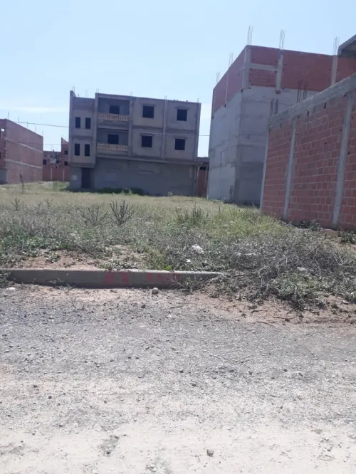 Vente Terrain Batna Tazoult