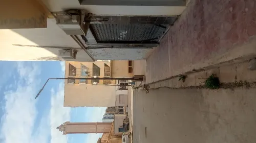 Vente Local Sidi Bel Abbès Sidi bel abbes