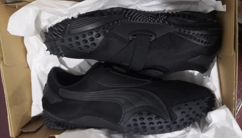 Puma mostro