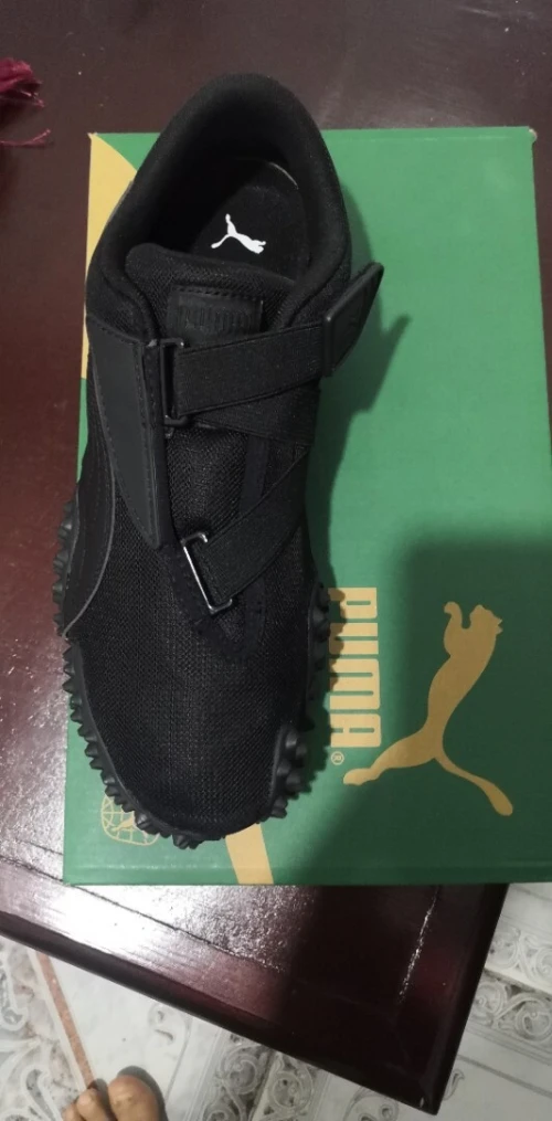 Puma mostro