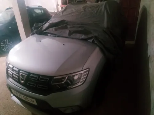 Dacia Sandero 2019 Stepway Techroad