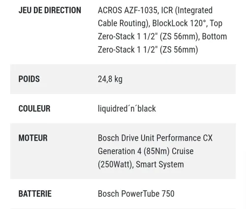 EMTB CUBE CARBON 2024