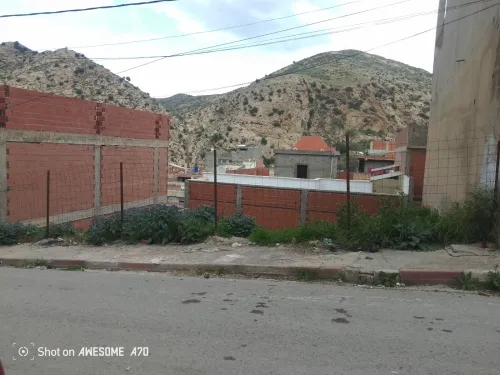 Vente Terrain Sétif Bougaa