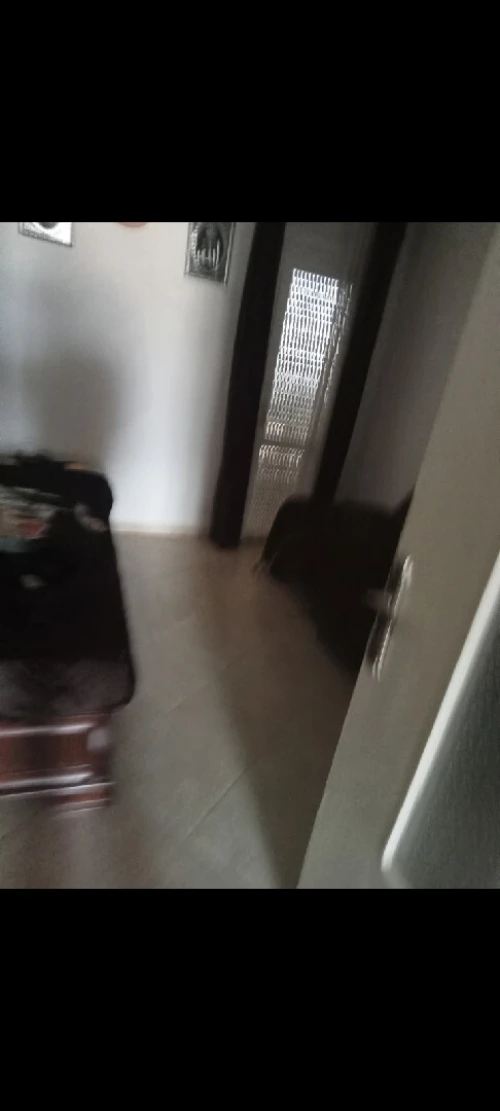 Vente Appartement F3 Alger El biar