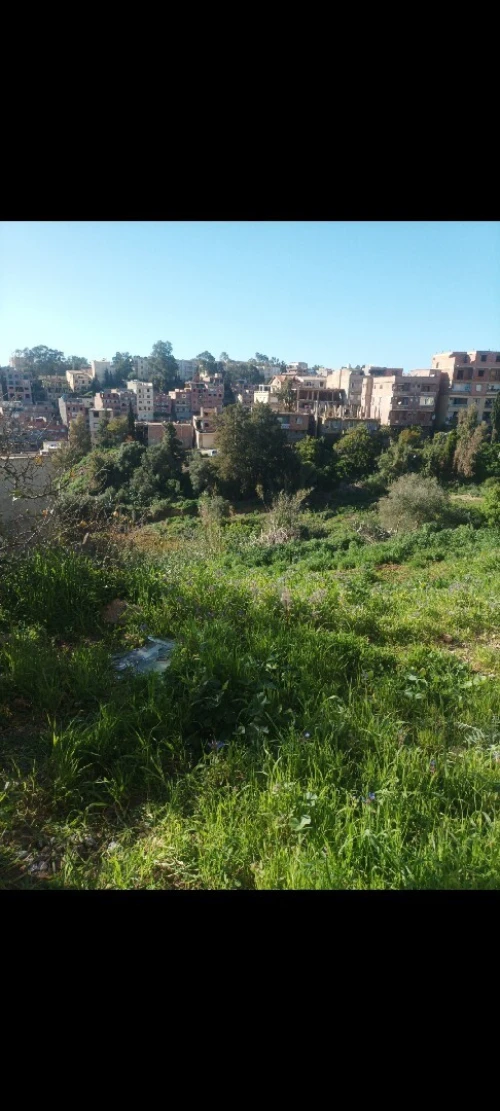 Vente Terrain Alger Bouzareah