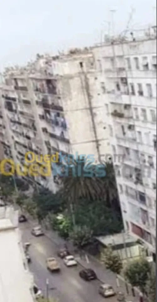 Location Appartement F2 Alger El biar