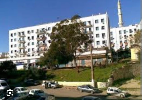 Vente Appartement F3 Alger Chevalley