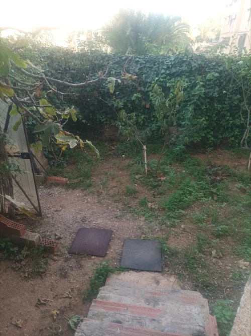 Location Appartement F2 Alger Bouzareah