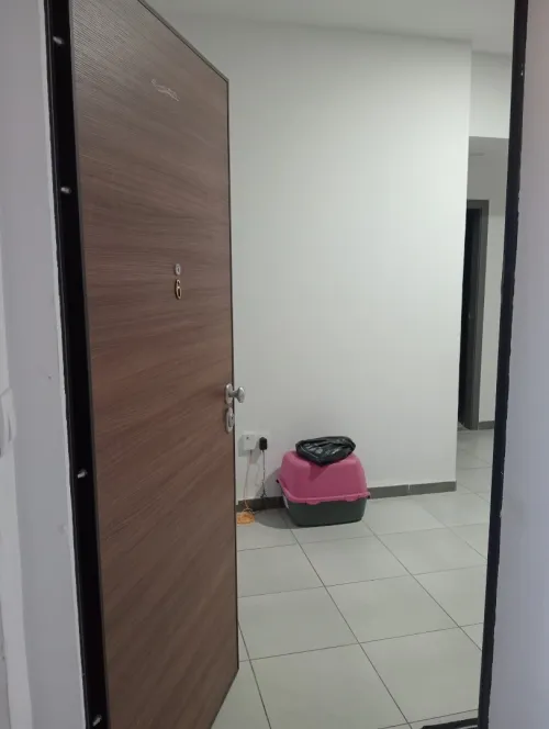Location Appartement F4 Alger Dely brahim