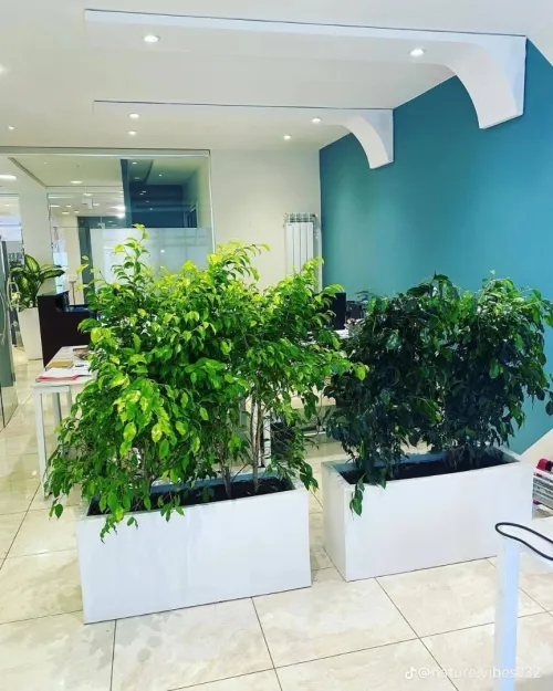 Éco jardin 