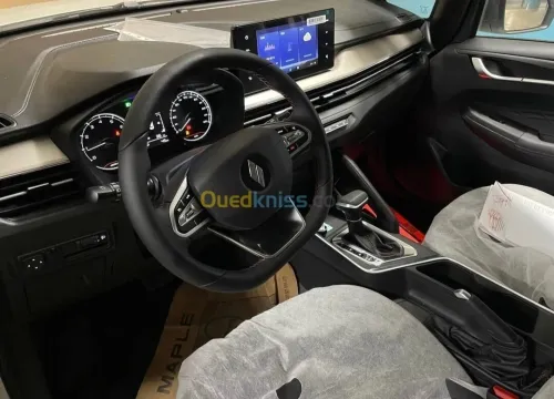 Livan X3 Pro  2025 Toute option