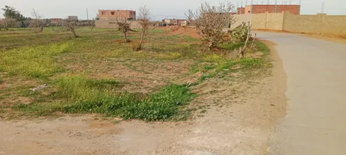 Vente Terrain Mostaganem Khadra