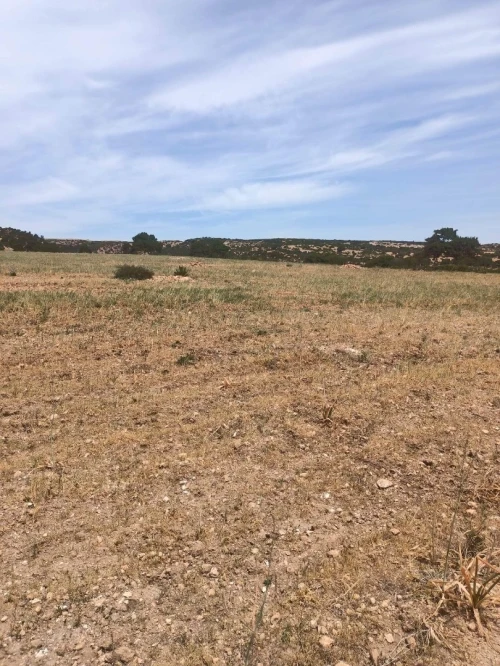 Vente Terrain Oran Boutlelis