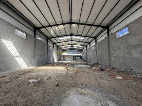 Location Hangar - Usine Alger Birtouta