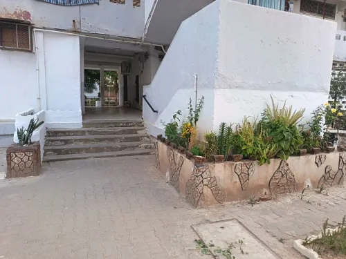 Location Appartement F3 Blida Blida