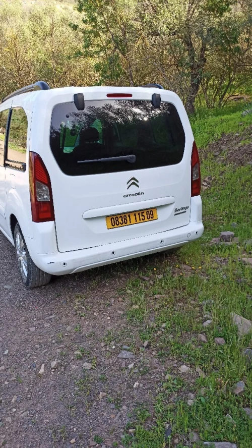 Citroen Berlingo Multispace 2015 Berlingo Multispace