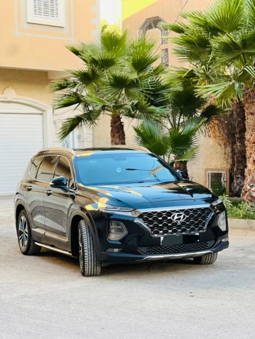 Hyundai SantaFe 2019 SantaFe