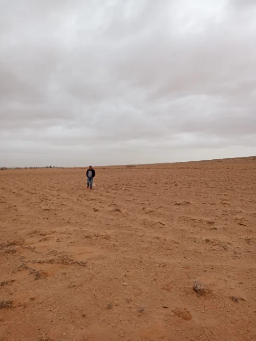Vente Terrain Agricole M'Sila Zerarka