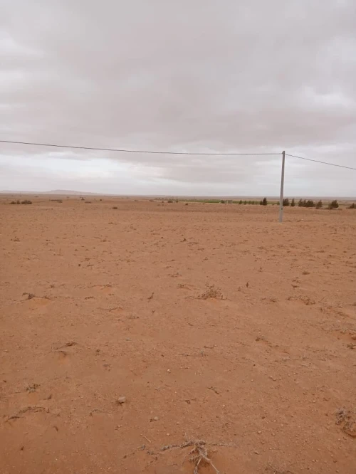 Vente Terrain Agricole M'Sila Zerarka