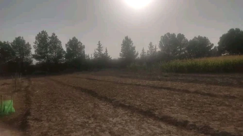 Vente Hangar Batna Lazrou