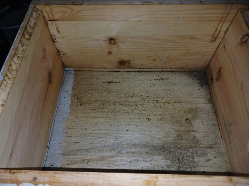 Ruche d'abeilles