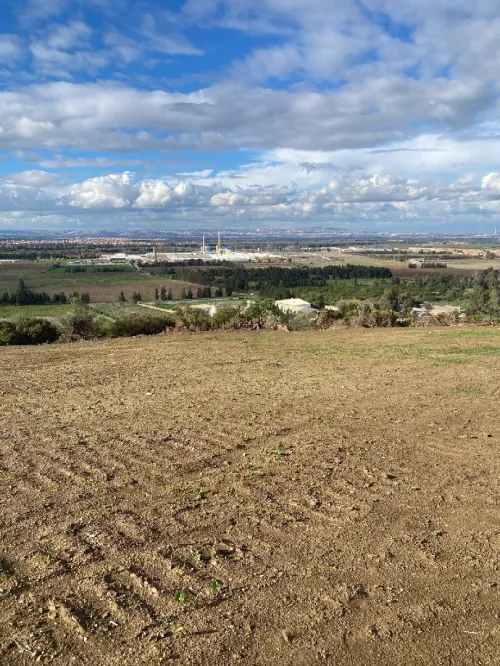 Vente Terrain Blida Larbaa