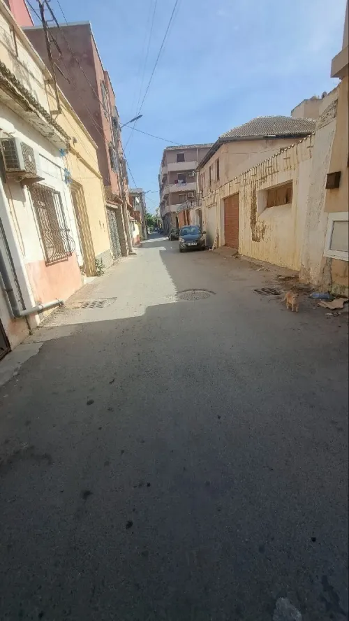 Vente Terrain Alger Ain benian