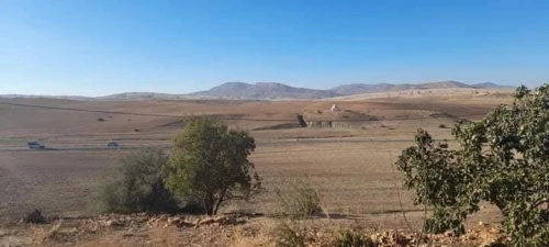 Vente Terrain Agricole Tissemsilt Layoune