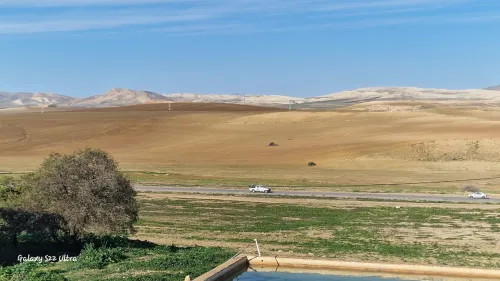 Vente Terrain Agricole Tissemsilt Layoune