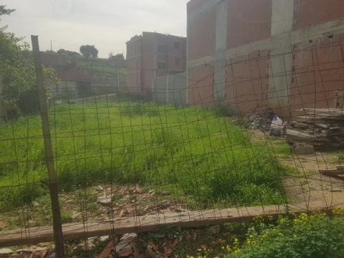 Vente Terrain Boumerdes Ouled moussa
