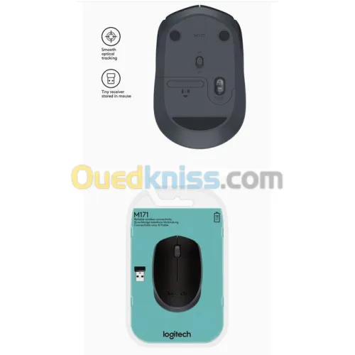 Souris LOGITECH M171