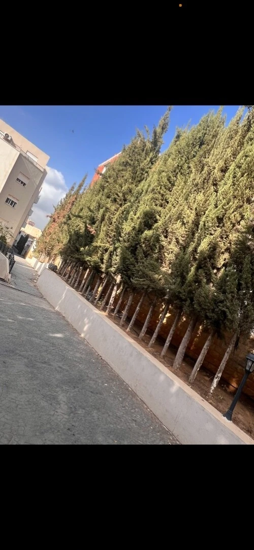 Vente Appartement F3 Alger Birkhadem
