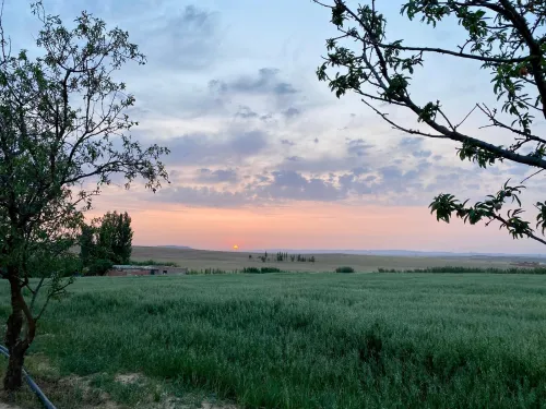 Vente Terrain Tiaret Sougueur