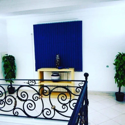 store zebra venitien californien 