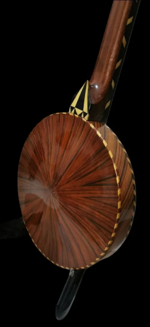 Banjo 6 cordes 