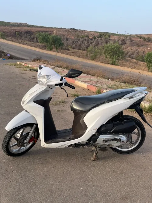 Pista Vision 2019