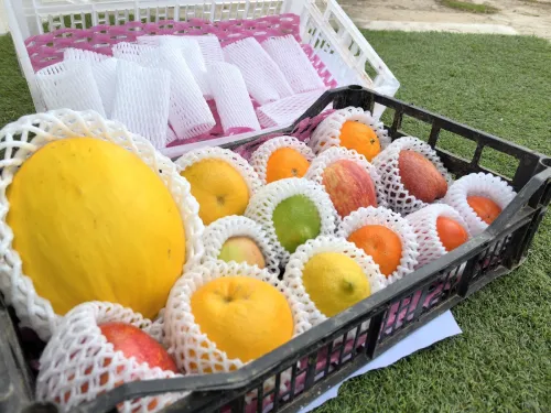 Filet à fruits en mousse EPE:Protection fraîcheur, choix écoresponsable !