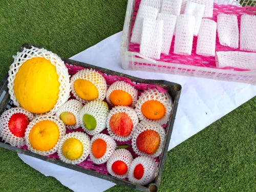 شبكة حماية الفواكه/ Filet de protection pour fruits