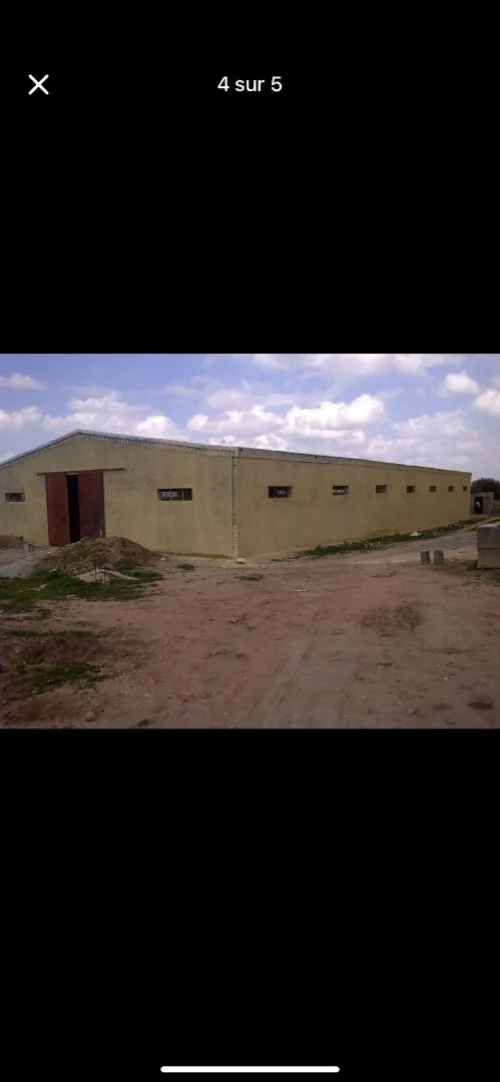 Location Hangar Sidi Bel Abbès Sidi bel abbes